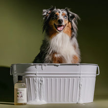 Load image into Gallery viewer, Sweet Marjoram & Rosalina Essential Oil DOG WASH
