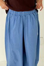 Load image into Gallery viewer, LE BON SHOPPE PARACHUTE PANTS - SLATE BLUE
